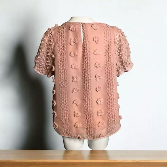 Mine Embellished Sheer Blouse - Picture 9 of 9